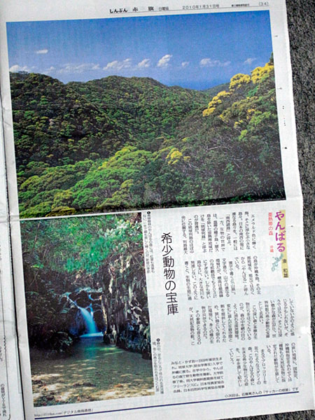 「やんばる・亜熱帯の森・沖縄」