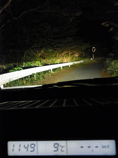 夜の林道