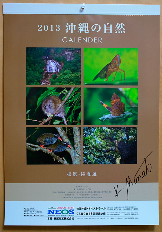 沖縄の自然2013カレンダー