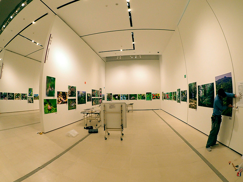 写真展会場