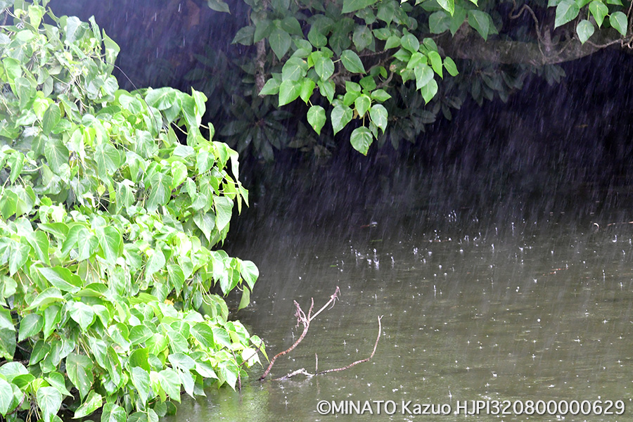 風雨