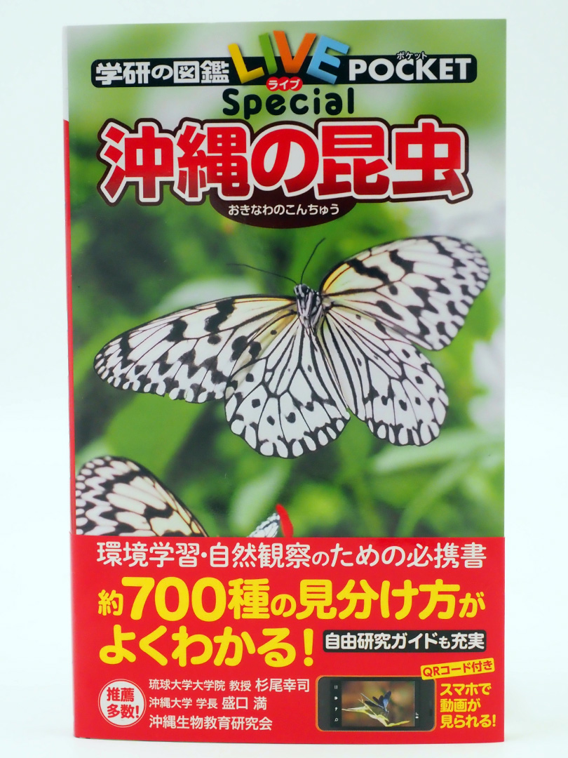 沖縄の昆虫図鑑