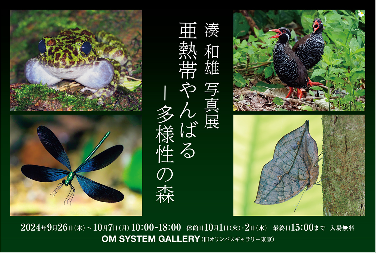 写真展