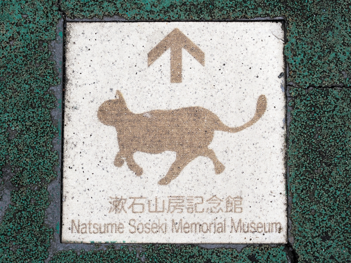 新宿区早稲田