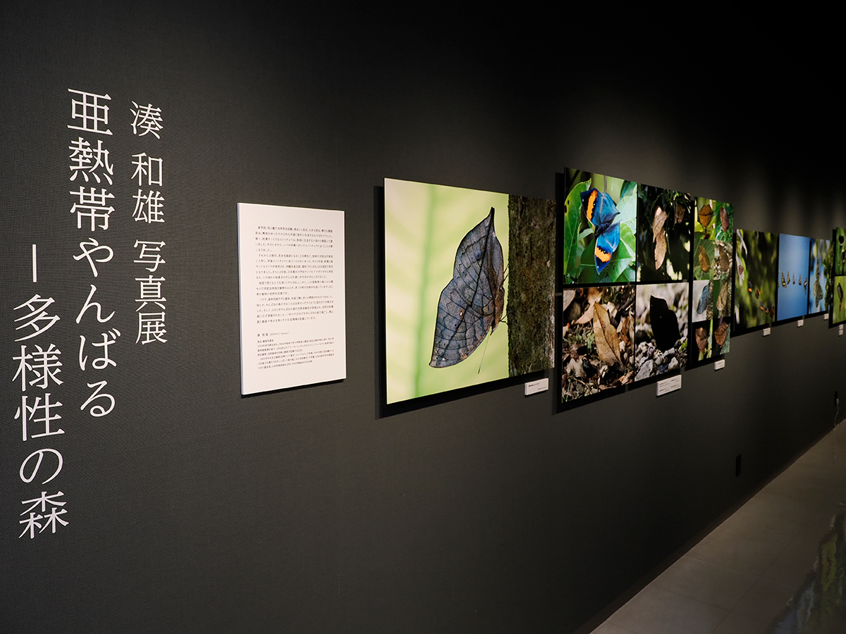 写真展開幕