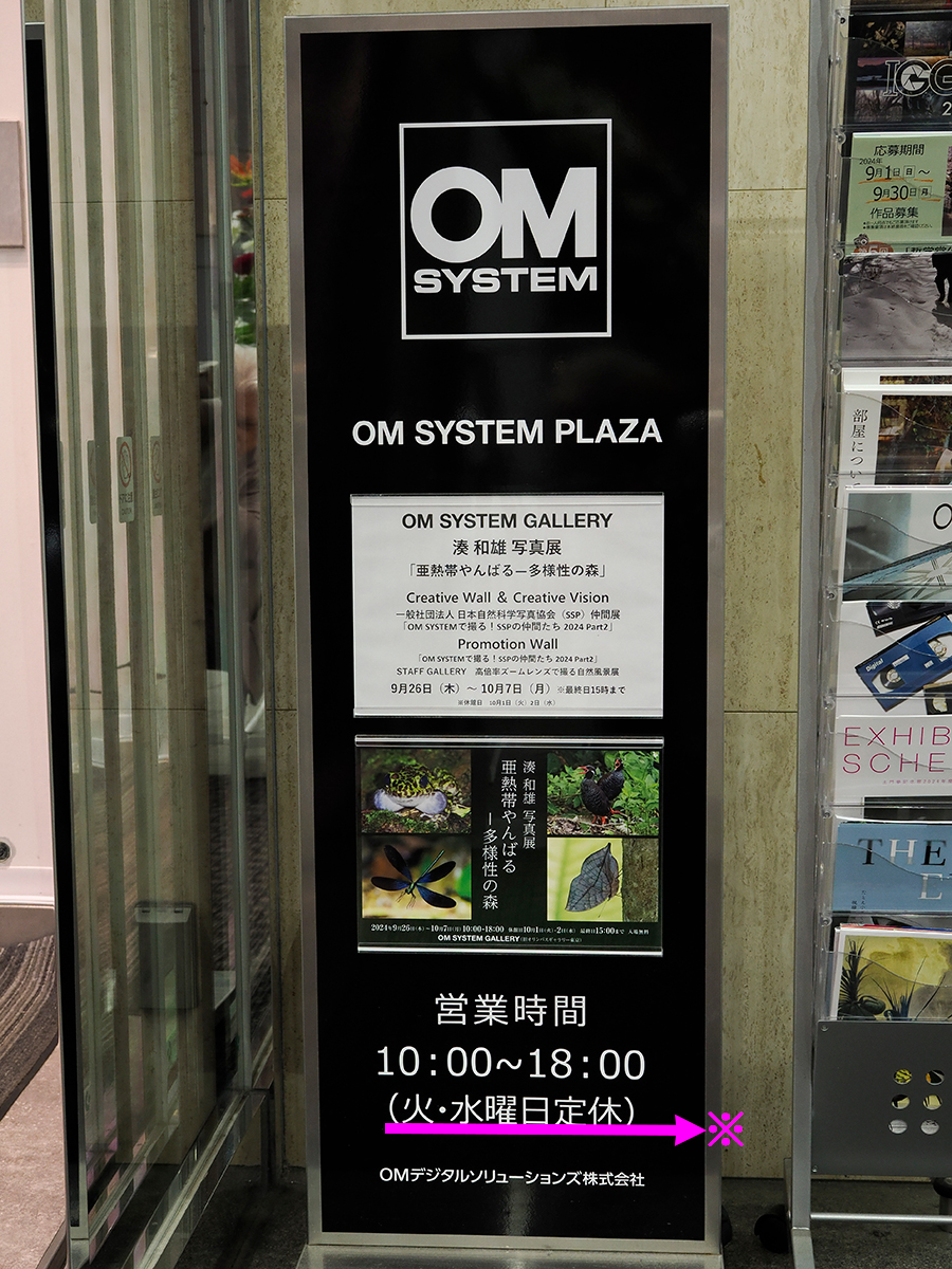 定休日です！