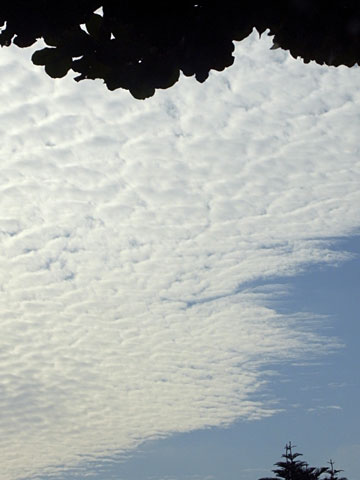 鱗　雲