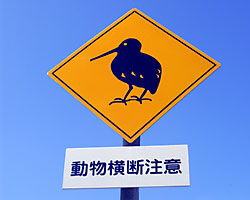 徳之島の道路標識